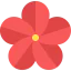 Flower 图标 64x64