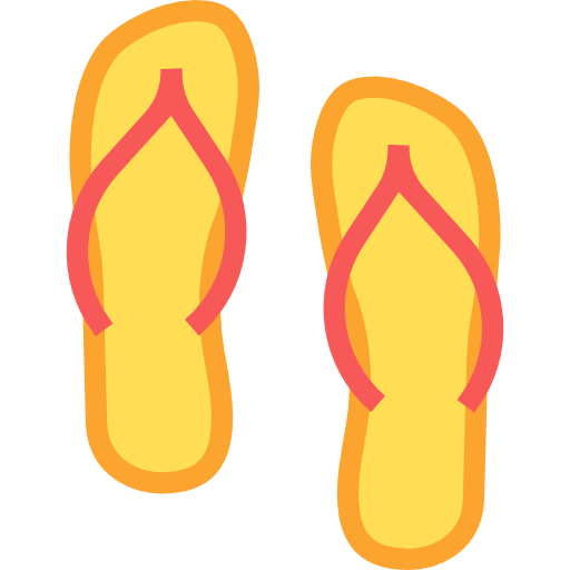 Flip flops icon
