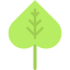 Leaf 图标 64x64