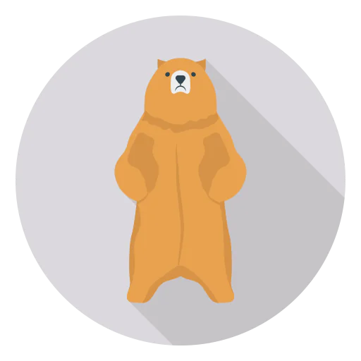 Bear Symbol
