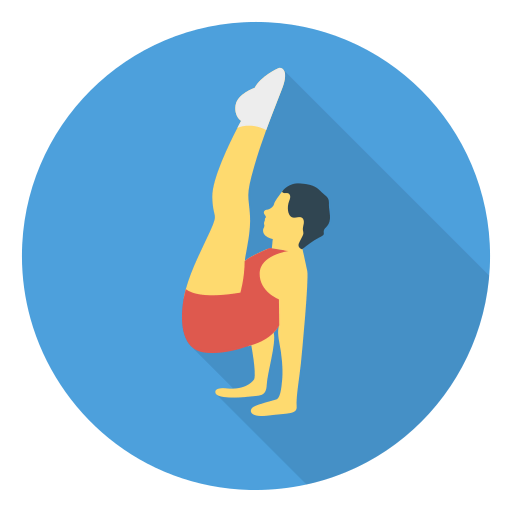 Acrobat icon