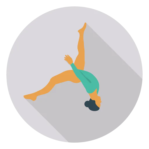 Acrobat icon