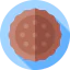 Cookie icon 64x64