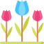 Tulips icon 64x64