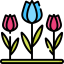 Tulips icon 64x64