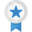 Silver medal ícono 64x64