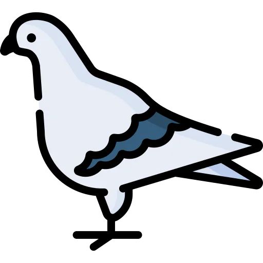 Pigeon іконка