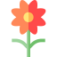 Flower icon 64x64