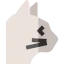 Cat icon 64x64