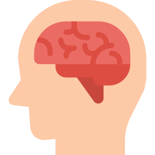 Brain icon