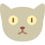Cat biểu tượng 64x64