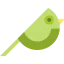 Bird biểu tượng 64x64