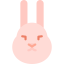 Rabbit biểu tượng 64x64