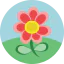 Flower 图标 64x64