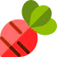 Beet 상 64x64