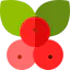 Berries 상 64x64