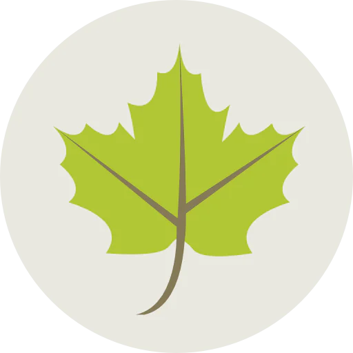 Maple leaf icon