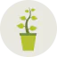 Plant icon 64x64