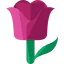 Тюльпан иконка 64x64