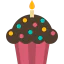 Cupcake icon 64x64
