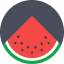 Watermelon icon 64x64