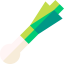 Leek icon 64x64