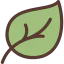 Leaf icône 64x64