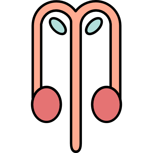 Reproductive system icon