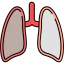 Lungs 图标 64x64