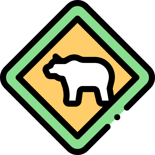 Bear icon