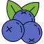 Blueberries 图标 64x64