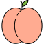 Peach 图标 64x64