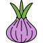 Onion 图标 64x64