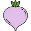 Turnip 图标 64x64