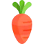 Carrot icon 64x64