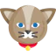 Cat icon 64x64