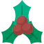 Mistletoe biểu tượng 64x64