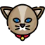 Cat icon 64x64
