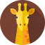 Giraffe Symbol 64x64