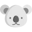 Koala icône 64x64
