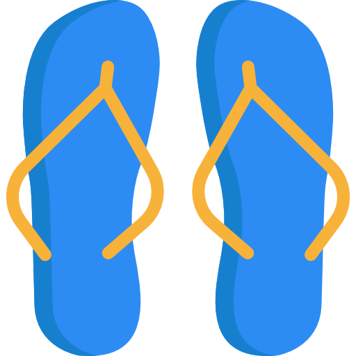 Flip flops icon