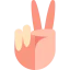Victory іконка 64x64