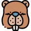 Beaver icon 64x64