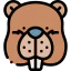 Beaver ícono 64x64