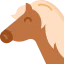 Horse icon 64x64