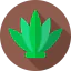 Agave icon 64x64