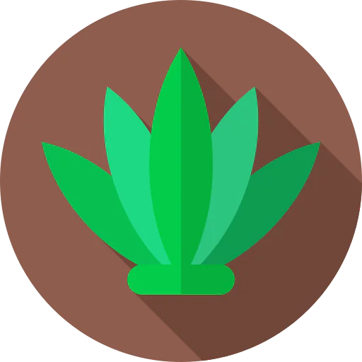 Agave icon