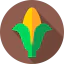 Corn icon 64x64