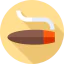 Cigar icon 64x64