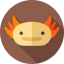 Ajolote icon 64x64